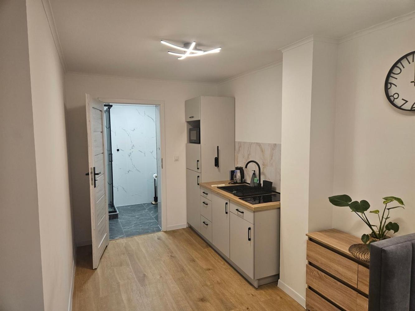 شتشيتسين Apartamenty Modra Free Parking المظهر الخارجي الصورة